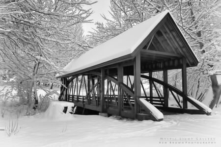 Winter Solstice