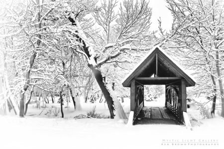Winter Solstice