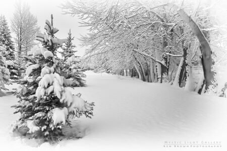 Winter Solstice