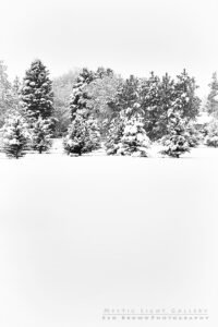 Winter Solstice