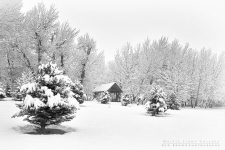 Winter Solstice
