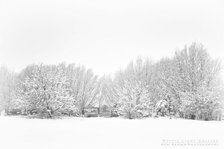 Winter Solstice