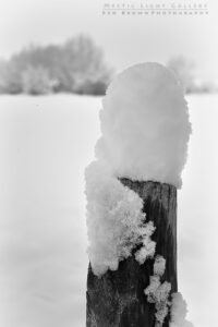 Winter Solstice