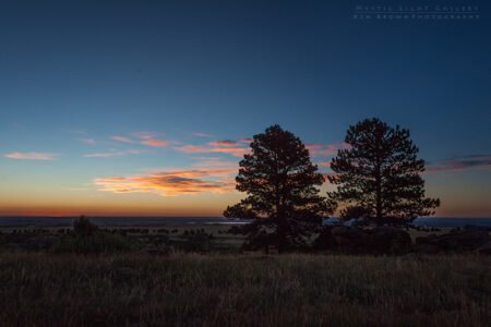 Plainview Sunrise
