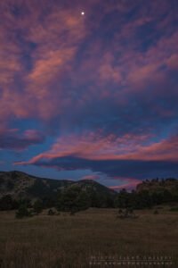 Plainview Sunrise