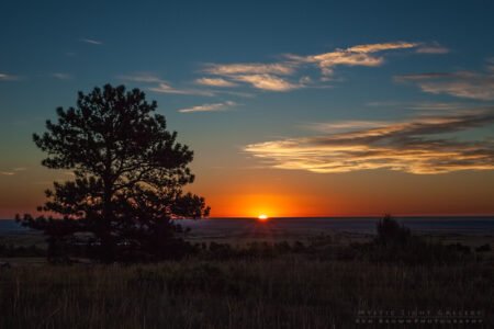 Plainview Sunrise