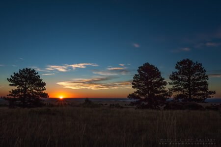 Plainview Sunrise
