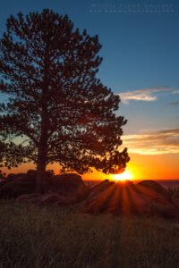 Plainview Sunrise