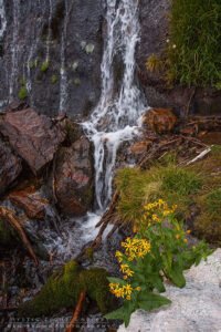 Tyndall Gorge