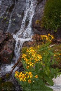 Tyndall Gorge