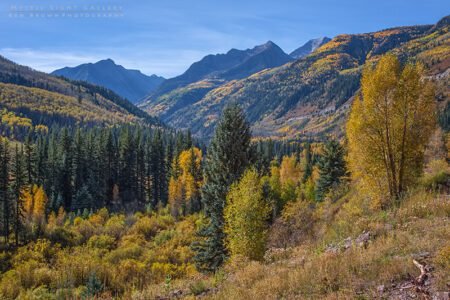 Autumn In Colorado