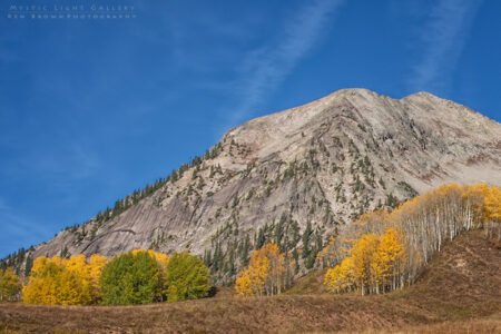 Autumn In Colorado