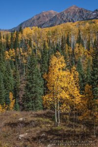 Autumn In Colorado