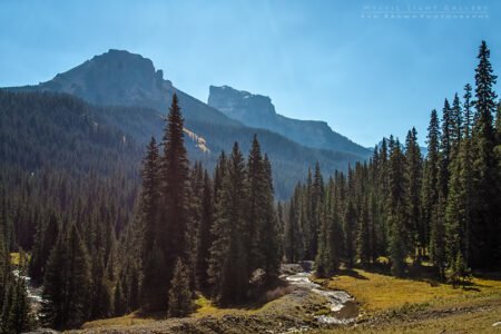 Autumn In Colorado