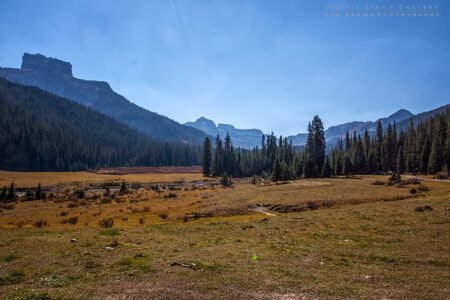 Autumn In Colorado