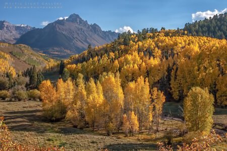 Autumn In Colorado