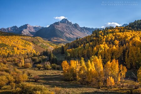 Autumn In Colorado