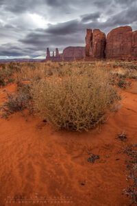 Monument Valley