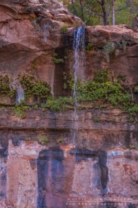 Zion National Park