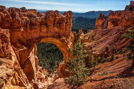 Bryce Canyon National Park