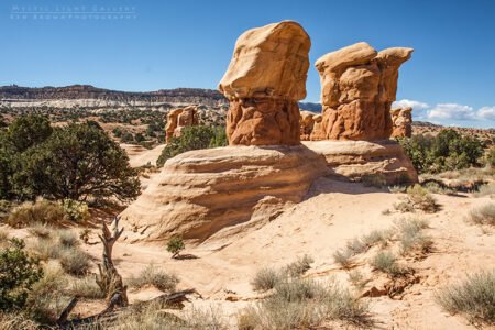 Devils Garden
