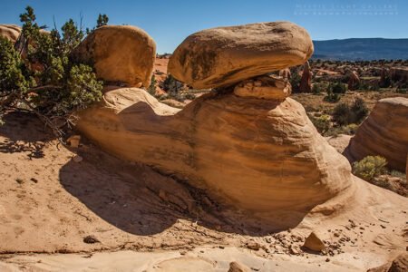 Devils Garden