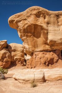Devils Garden