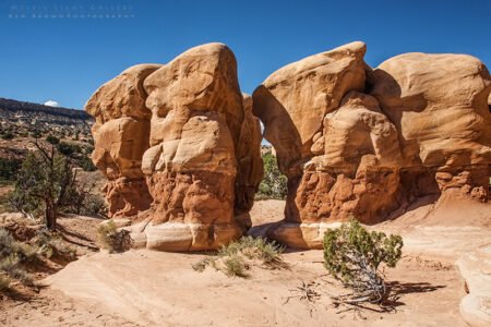 Devils Garden