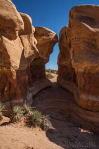 Devils Garden