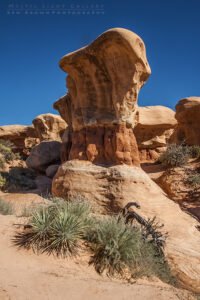 Devils Garden