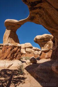 Devils Garden