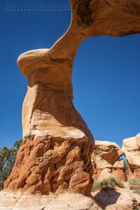 Devils Garden