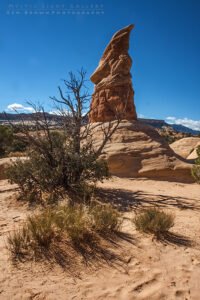 Devils Garden