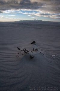 Salt Lake Sunset