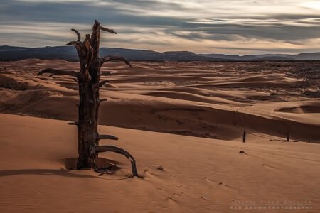 Antelope Canyon