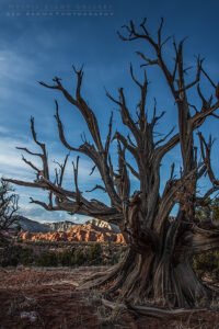 Kodachrome Basin
