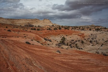 Burr Trail