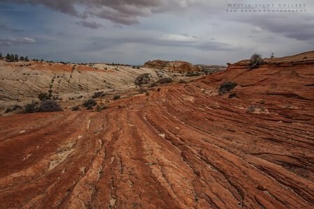 Burr Trail