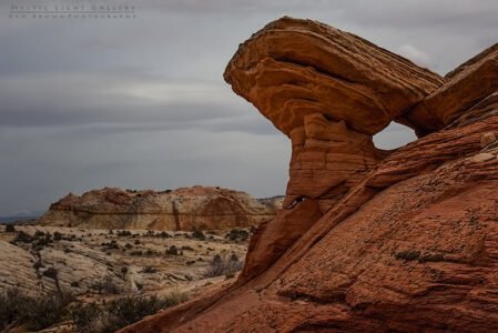 Burr Trail