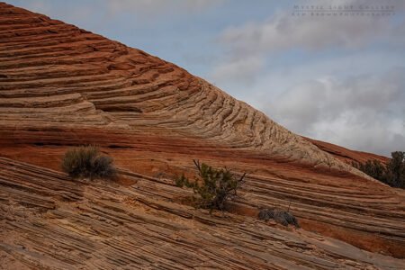 Burr Trail