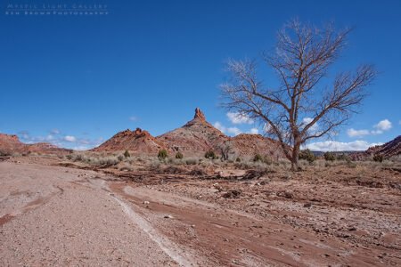 Wolverine Canyon