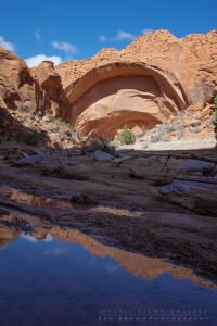 Wolverine Canyon