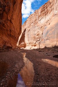 Wolverine Canyon