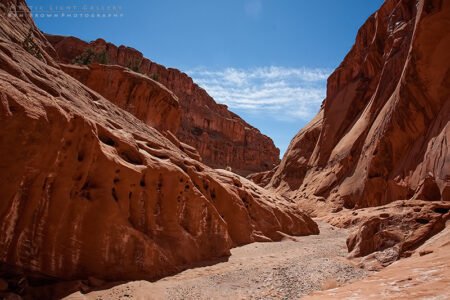Wolverine Canyon