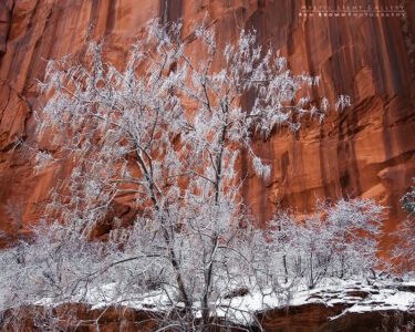 Horseshoe Canyon