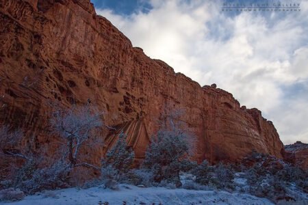 Horseshoe Canyon