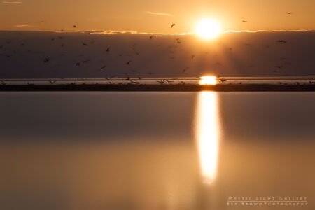 Antelope Island