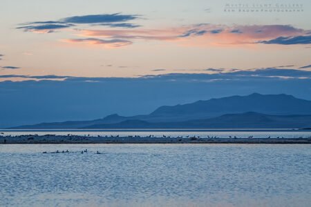 Antelope Island