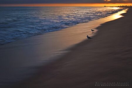 Newport Beach