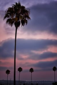 Newport Beach